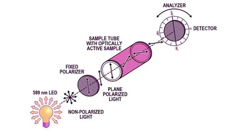 observed rotation polarimeter|what does a polarimeter measure.